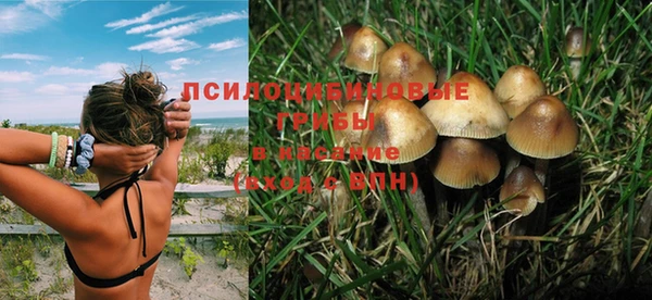 амф Краснослободск