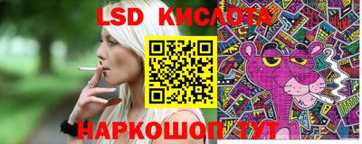 spice Волгодонск