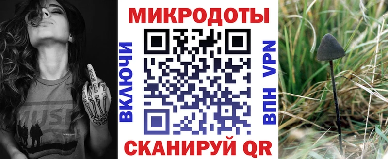 Псилоцибиновые грибы Psilocybine cubensis  Ессентуки 