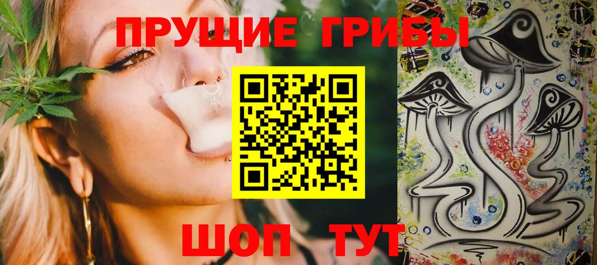 Псилоцибиновые грибы Cubensis  Псилоцибиновые грибы Cubensis  Вход с VPN  Ессентуки 