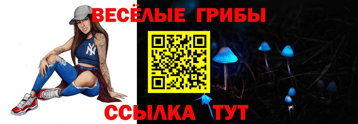 Галлюциногенные грибы Cubensis Ессентуки